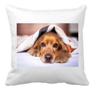 polstar 40x40 1 600x471