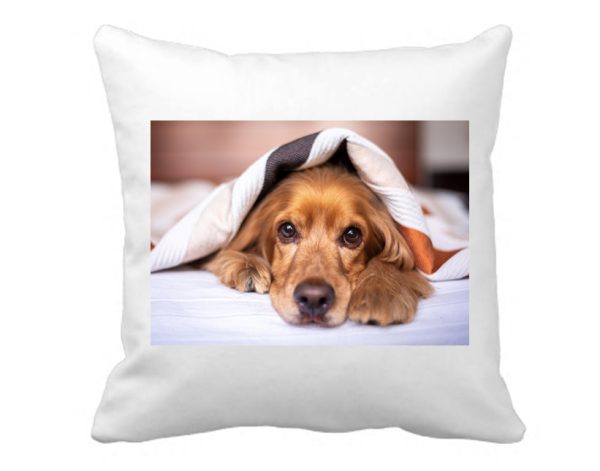 Fotografie na polštář, polštář s vlastní fotkou