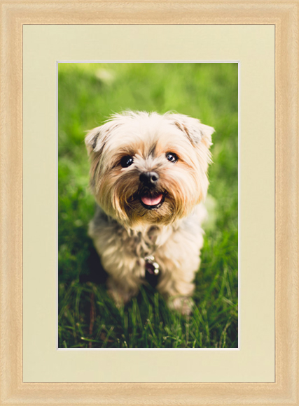 Dřevěný přírodní rám s paspartou a  fotografií, nové město na moravě, vysočina