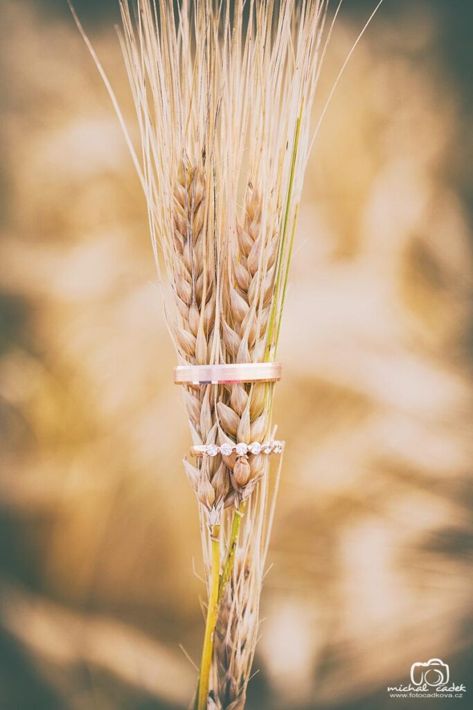 svatebni fototografie 1152