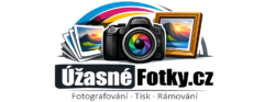 cropped logo.png